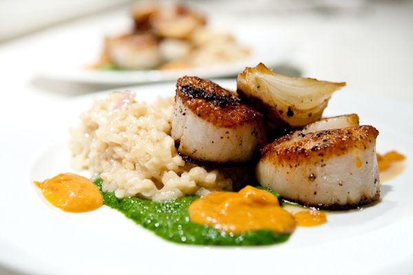 Scallops Roasted Spring Red Onions and Risotto